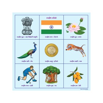 Magnetic Educational  Display